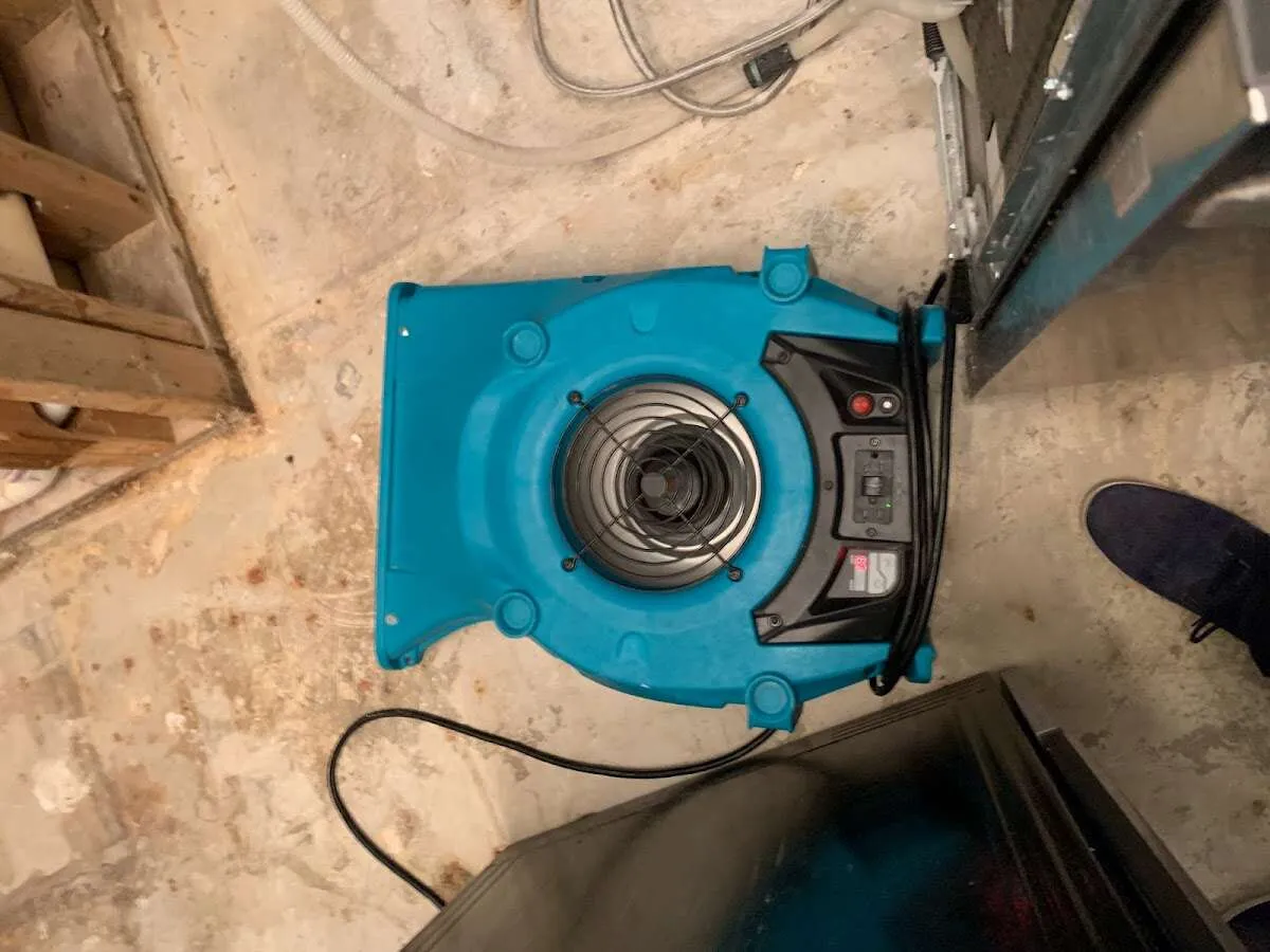 Air mover drying equipment for Mold Remediation & Removal in Cranberry